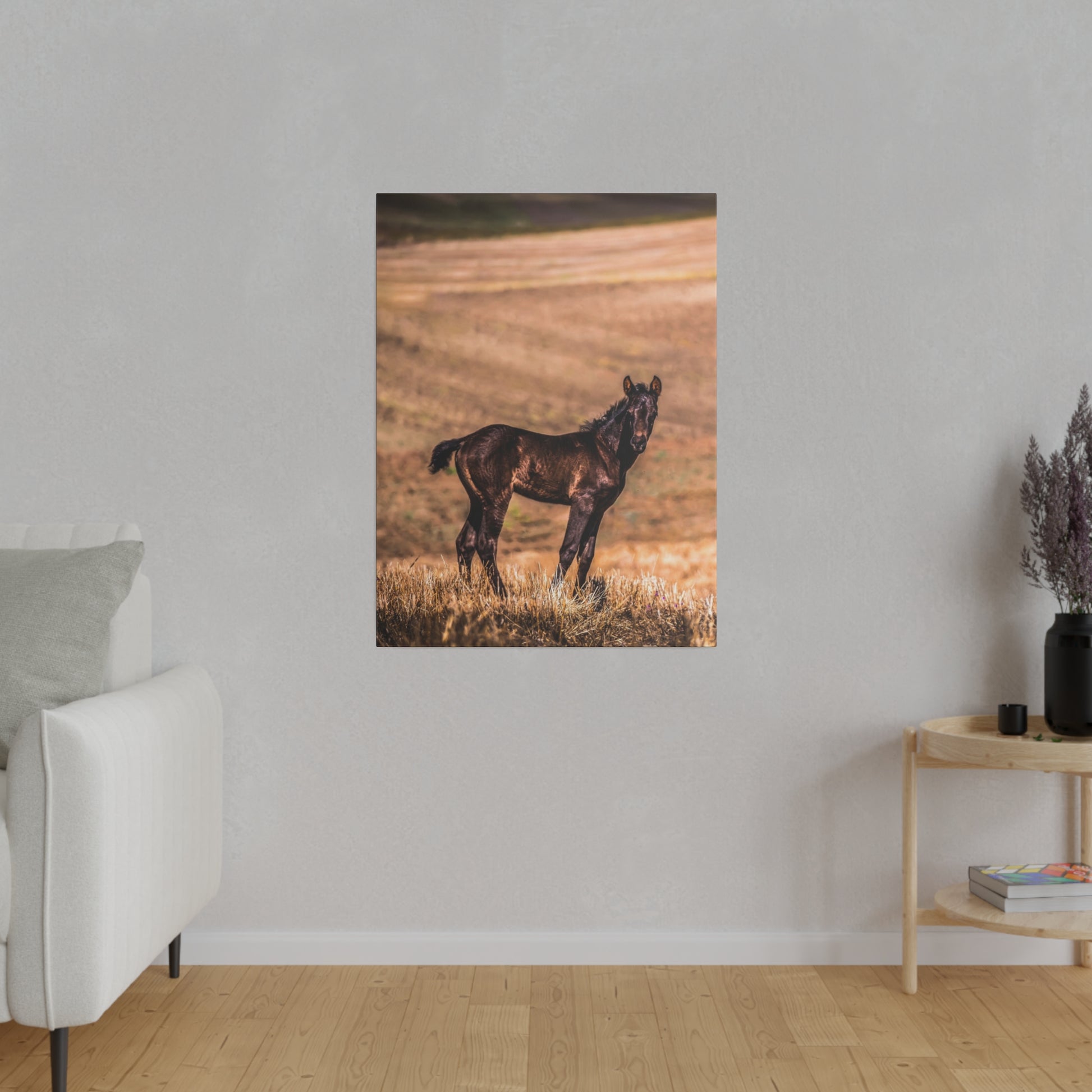 Baby horse grazing in a field, its dark coat glistening in the light, set against a serene and peaceful rural setting.