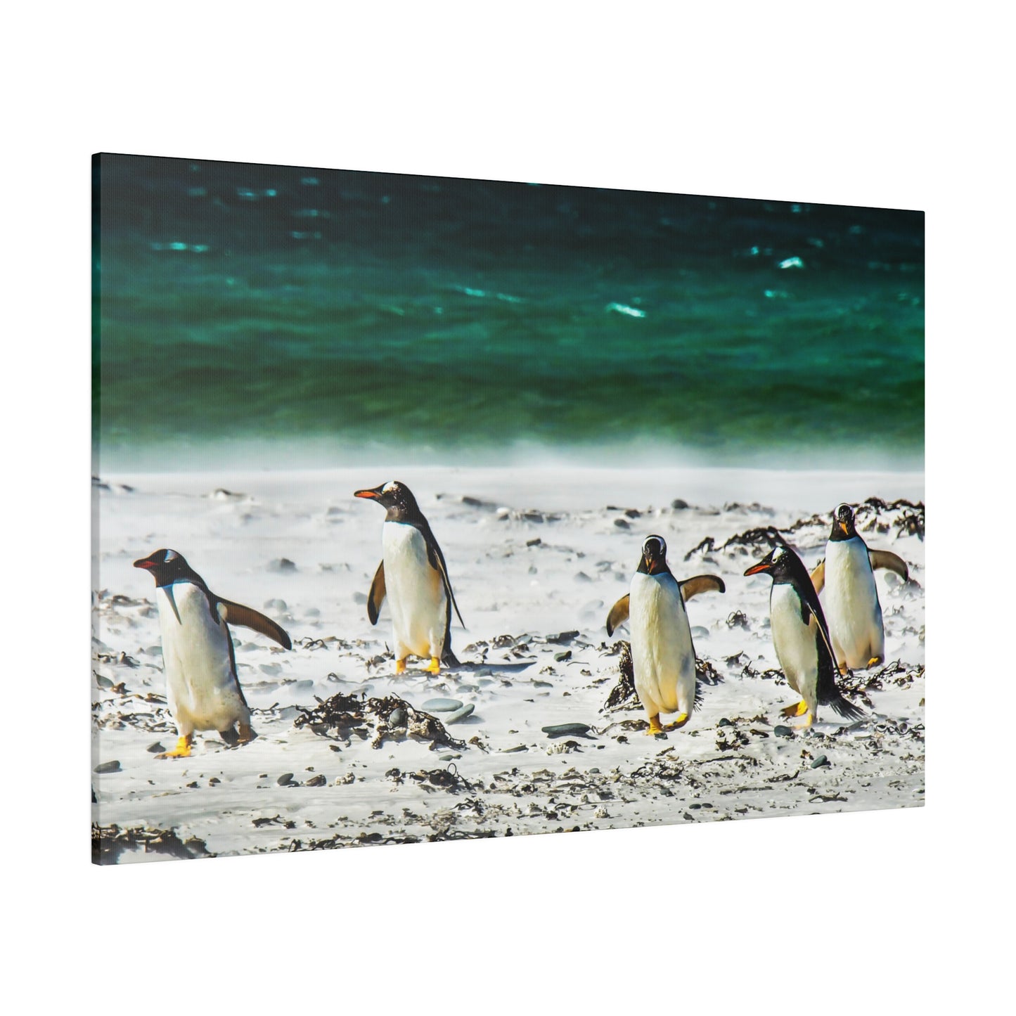 Four penguins on a beach by the sea, with white sand and seaweed scattered around. The ocean waves add a peaceful backdrop to the scene.