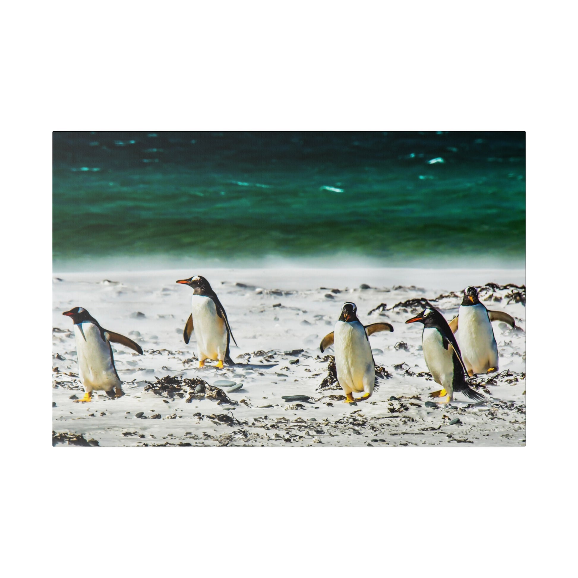 Penguins on a beach with the ocean in the background. The white sand and sea waves provide a serene and natural environment for the penguins.