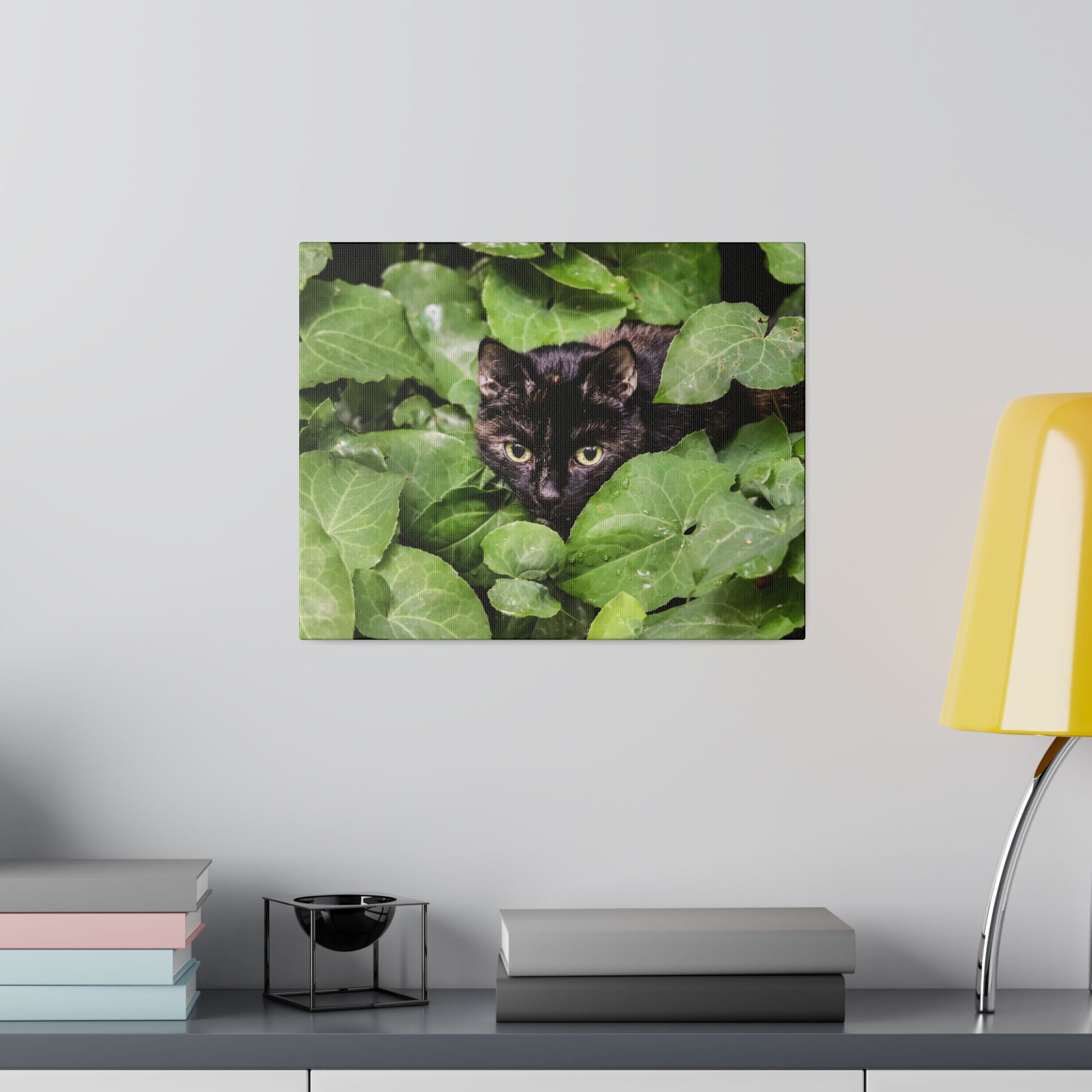 Close-up of a black cat peeking through dense green ivy leaves.