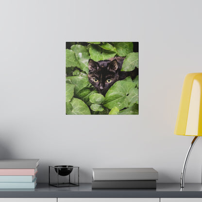 Black cat with green eyes peeks through dense green leaves.
