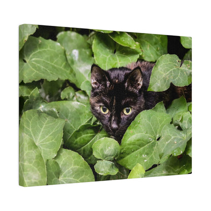 A sleek black cat with yellow-green eyes peeks through dense green ivy leaves.