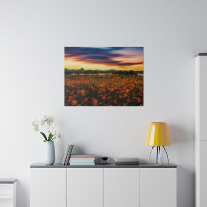 Framed landscape canvas of a sunset over a red-orange flower field hung above a white cabinet.