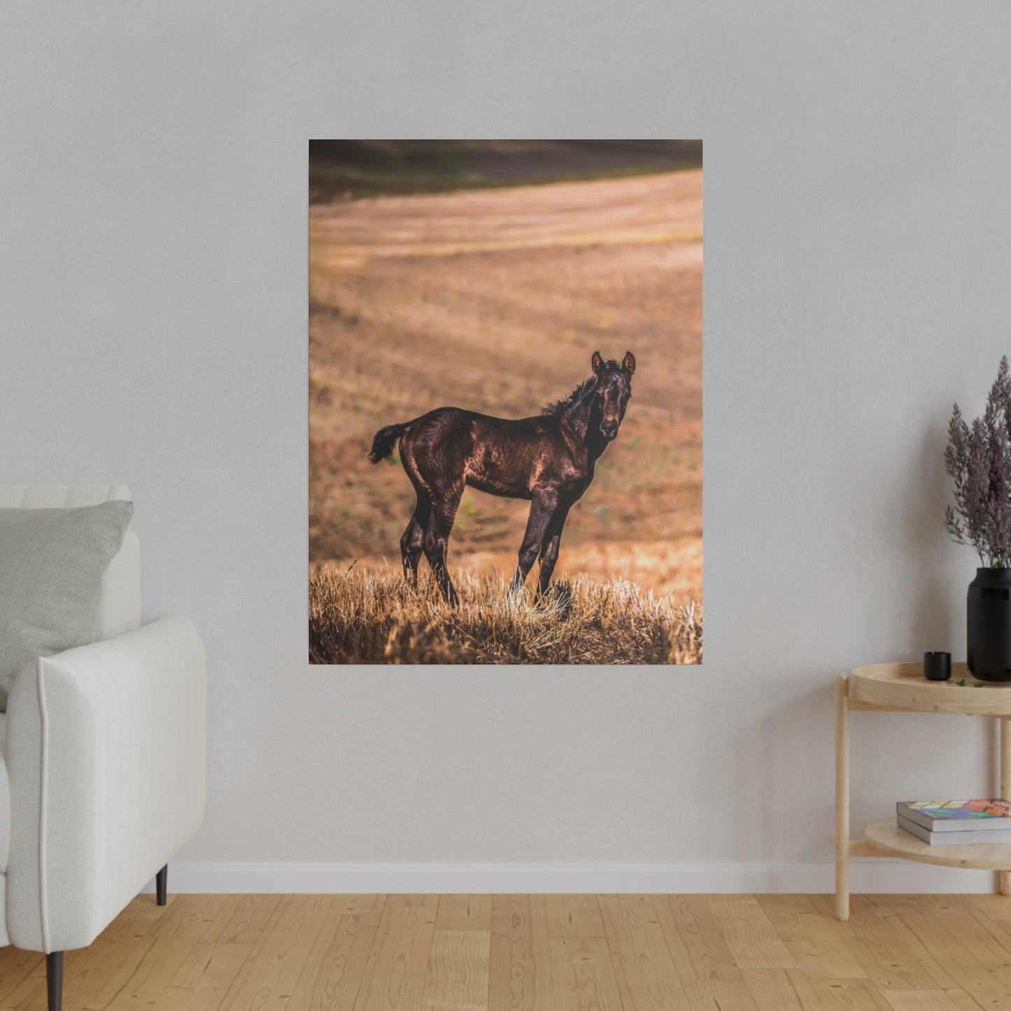 Brown foal standing alone in a field, its dark fur shining under the sun, with a backdrop of rolling hills.