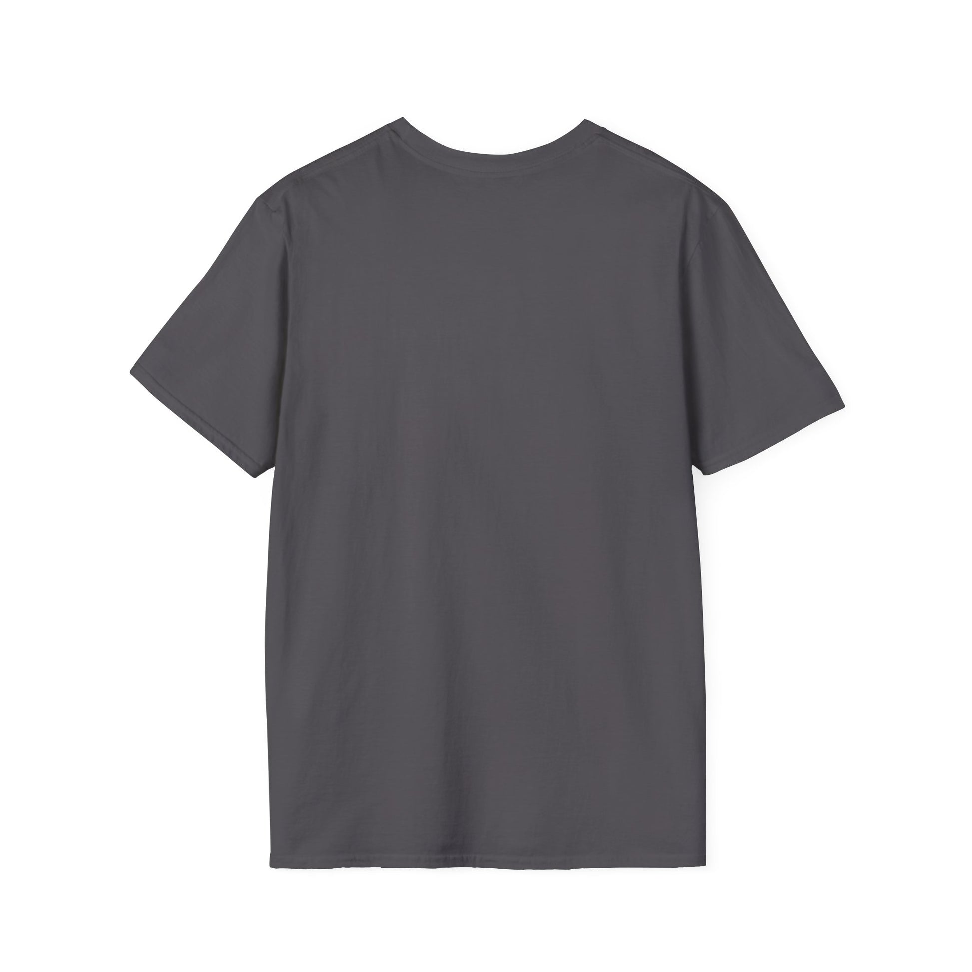 Back view of a plain charcoal gray short-sleeve T-shirt, showing smooth fabric and a round neckline.