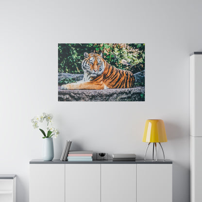 Decorative canvas featuring a tiger with orange fur and black stripes lounging on a rock with green foliage in the background.