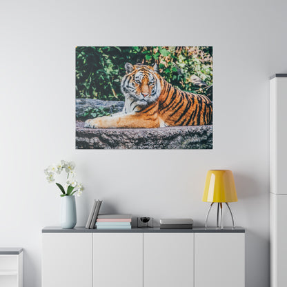 Canvas print of a tiger lounging on a rock with dense green foliage in the background.