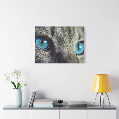 Close-up of a cat's blue eyes and gray fur, shown as a square wall art print.