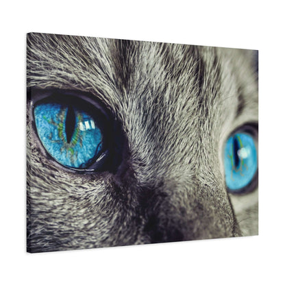 Close-up view of a gray cat with vivid blue eyes and textured fur around them.