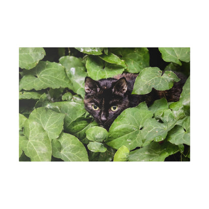 Black cat with green eyes hiding in dense green ivy leaves.
