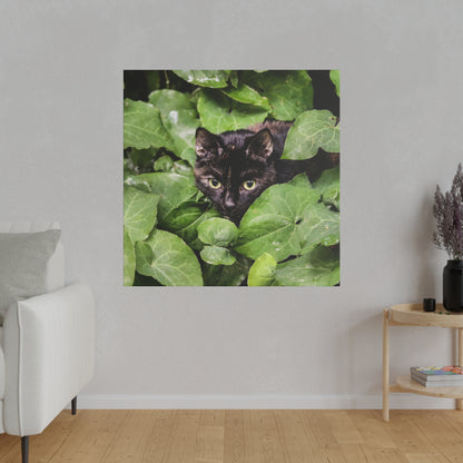 Square photo of a black cat peeking through dense green leaves, mounted on a light gray wall.