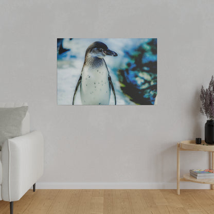 Close-up of a penguin standing upright with a white belly and gray-brown head, against a blurred blue-green background.