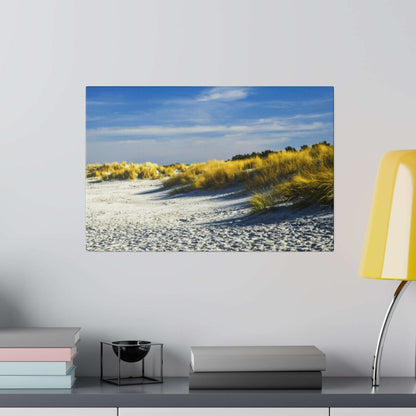 Framed beach scene showing white sand and yellow dune grasses under a blue sky.