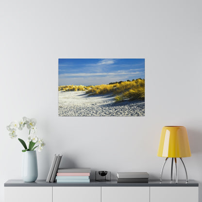 Framed coastal photograph showing sandy dunes with yellow grasses under a blue sky.