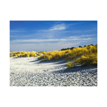 White sand dunes with tall golden beach grass under a bright blue sky.