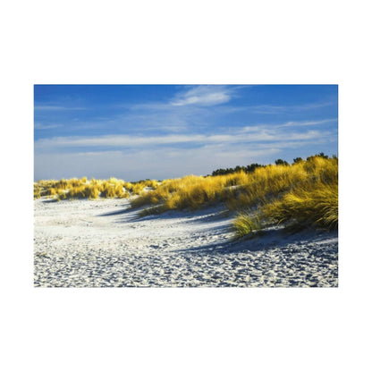 Sandy beach with white grains and tall golden dune grasses under a clear blue sky.