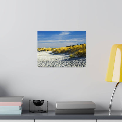 Framed landscape photo of a sandy dune beach with yellow grasses under a blue sky.
