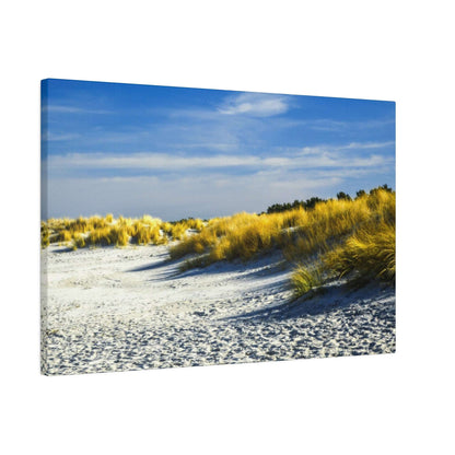 Sandy beach with tall golden dune grasses and a blue sky above.