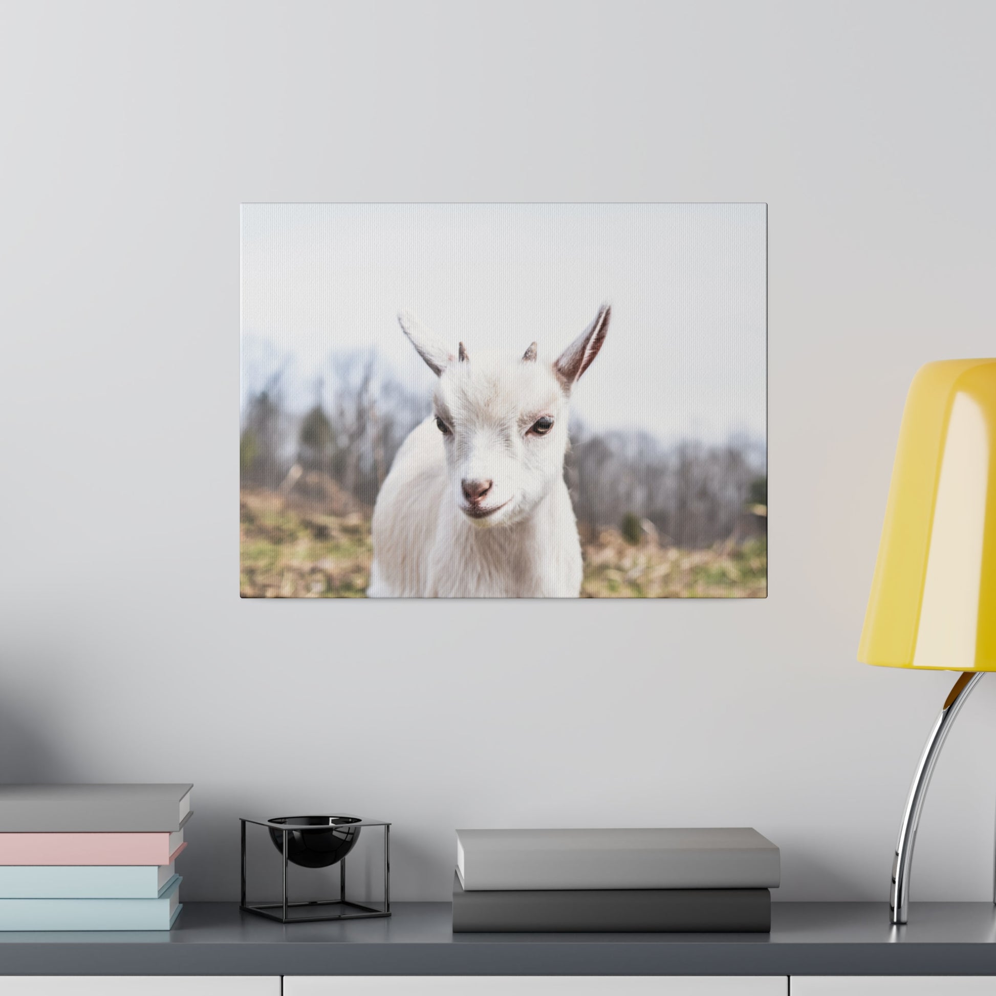 Framed photo of a white goat facing forward on a light background, hung on a wall above a shelf with books and a yellow lamp nearby.