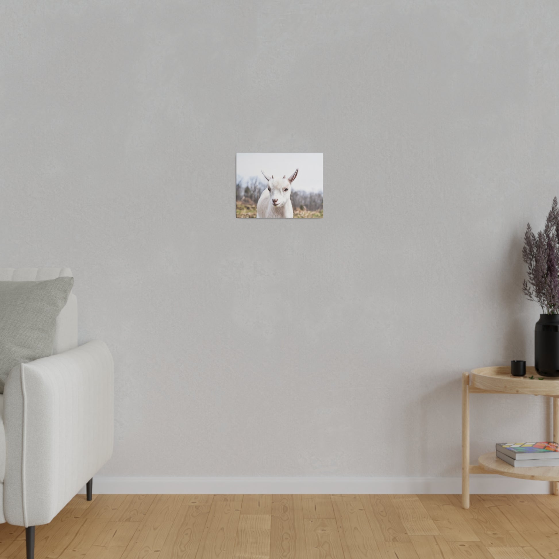 Small square photo of a white goat standing outdoors, mounted on a light gray wall above a wooden floor.