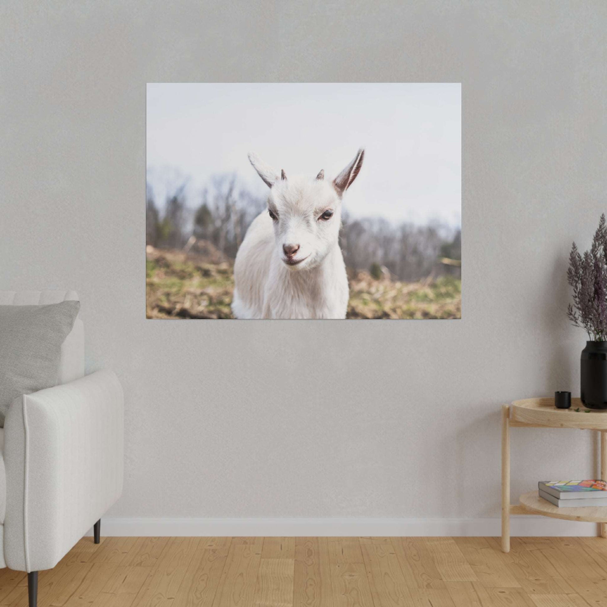 Canvas print of a white goat facing the camera outdoors, with a blurred landscape in the background.