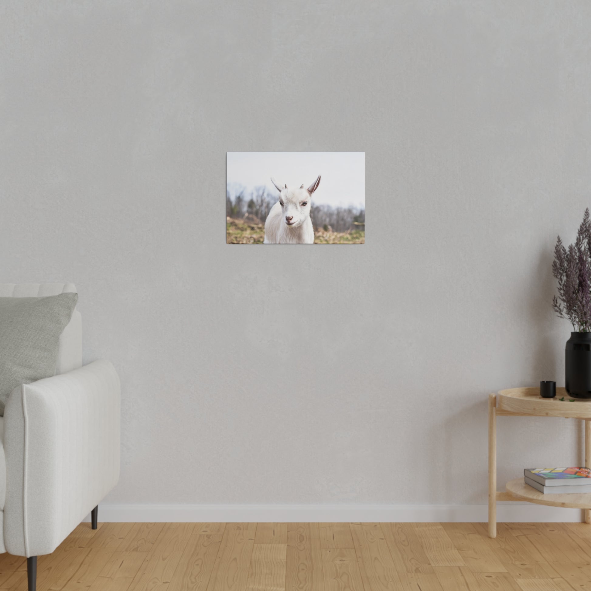 Small rectangular photo of a white goat mounted on a light gray wall above a wooden floor.
