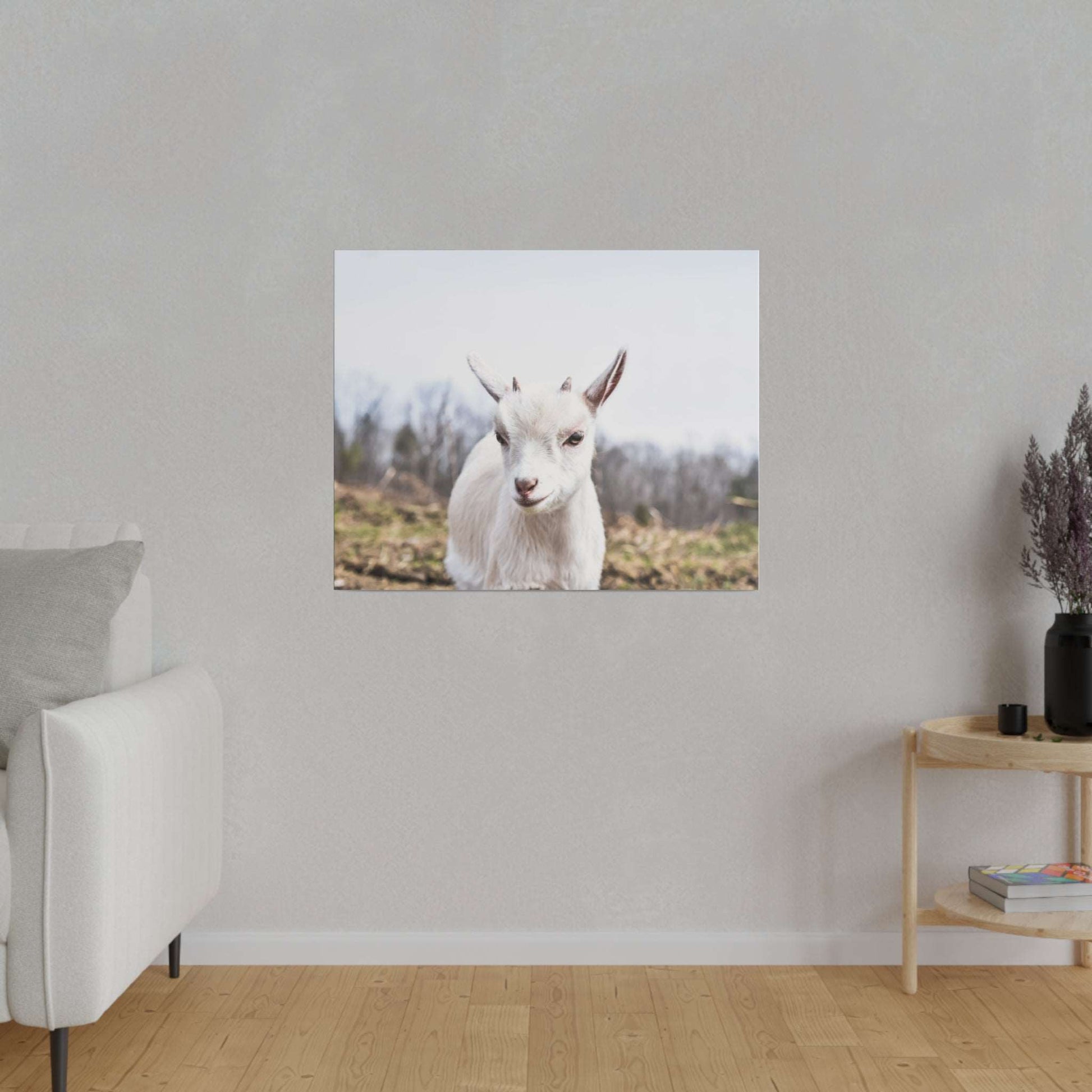 Canvas print of a white goat kid in a field, looking at the camera with a pale blue sky.
