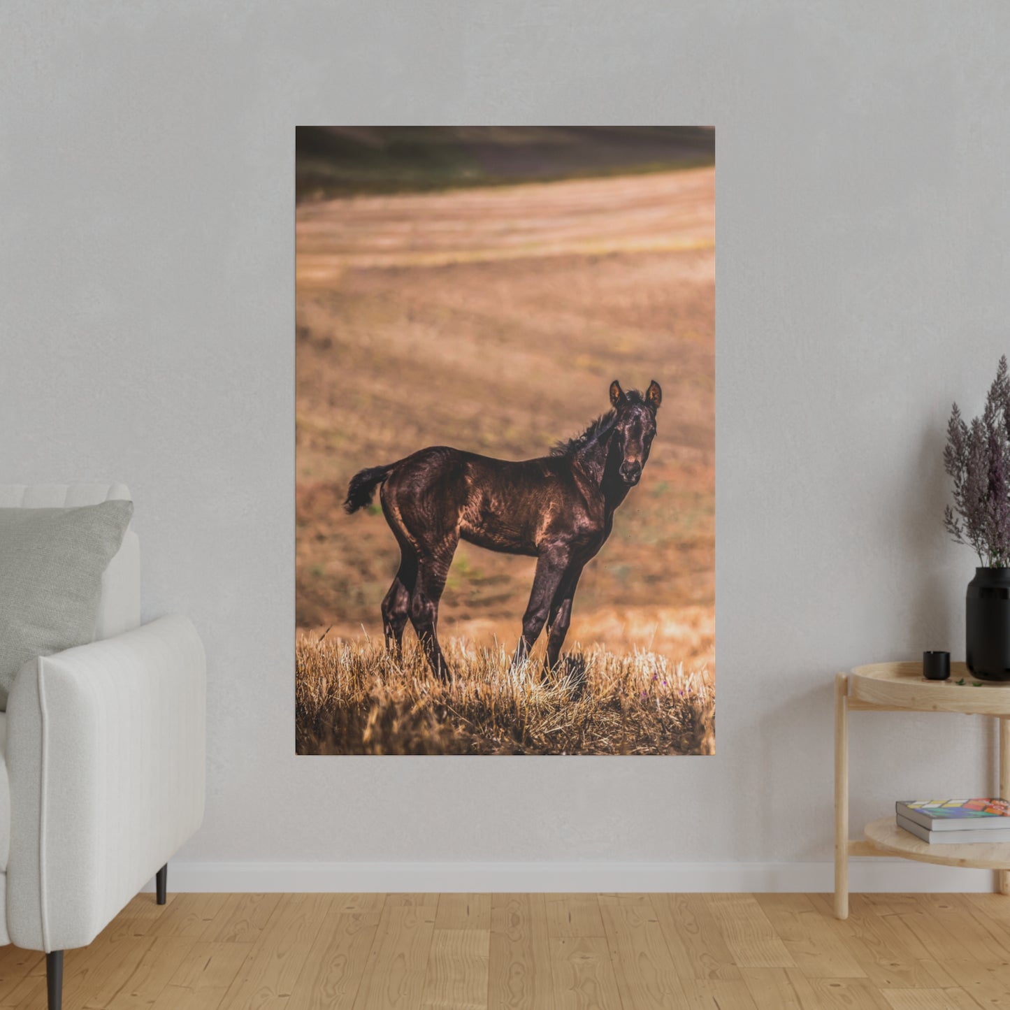 A dark foal standing proudly in a beautiful landscape, with the sun casting a golden hue over the grassy meadow.