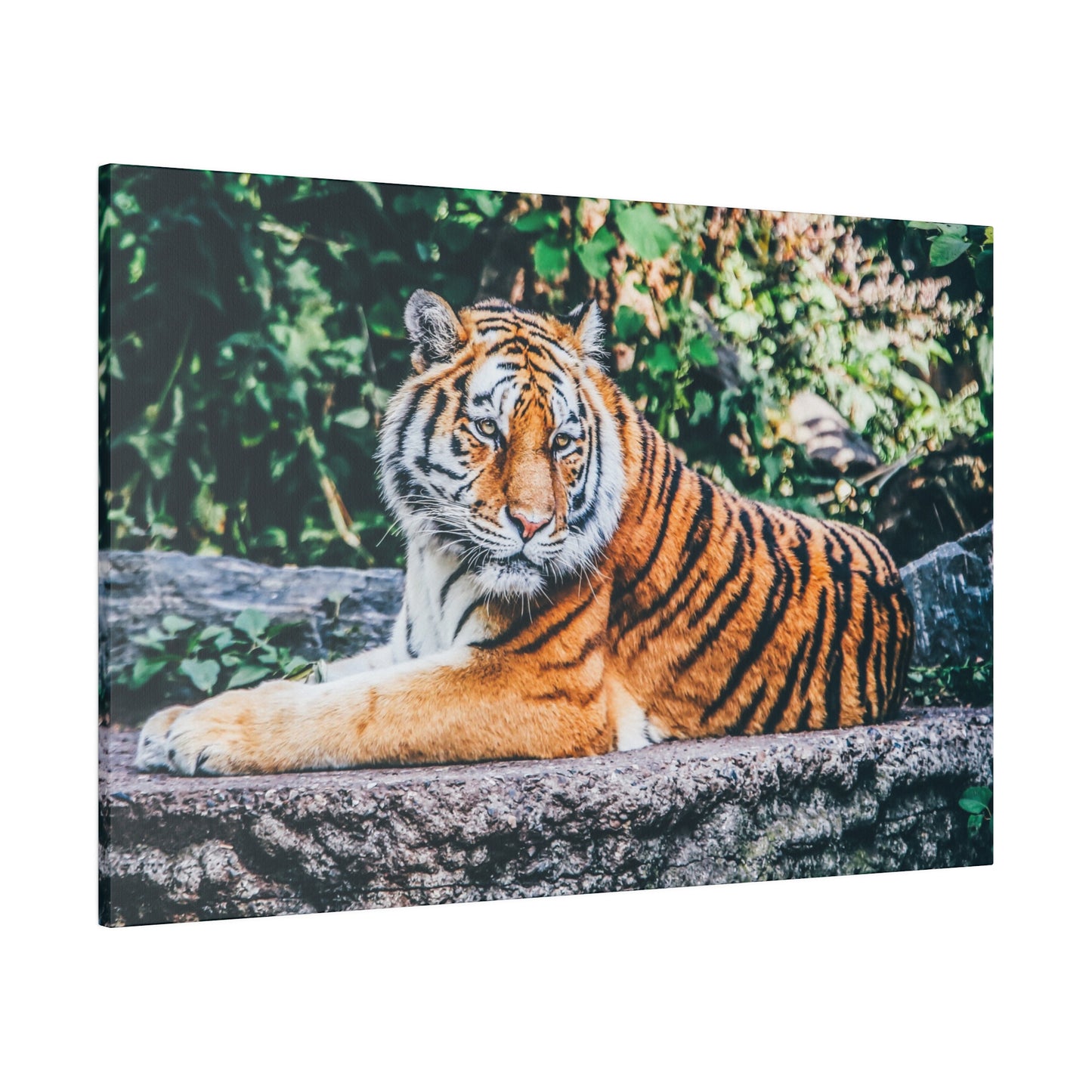 Detailed artwork of a tiger on canvas