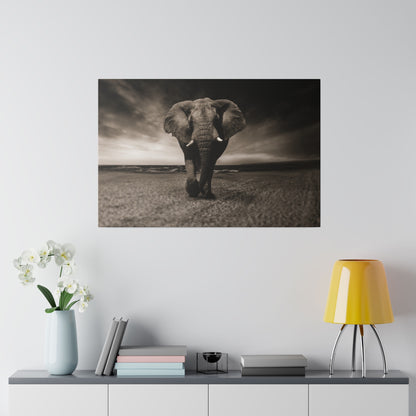 Black-and-white photo of an elephant walking toward the camera on a sandy beach with a cloudy sky.