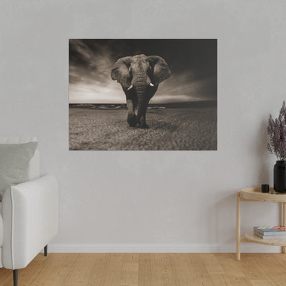Black-and-white photo of a lone elephant walking toward the camera on a sandy beach with the ocean in the background.