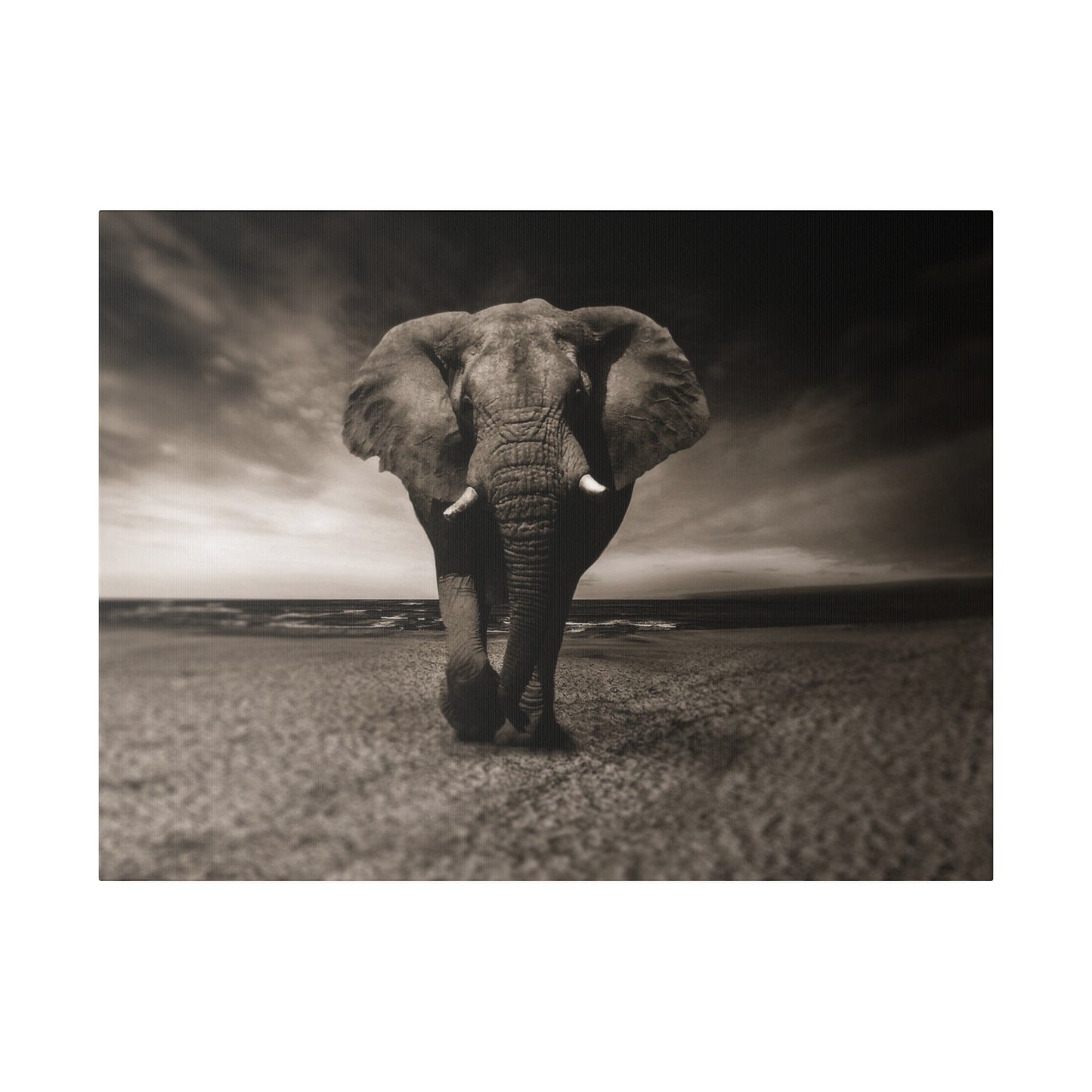 An impressive elephant captured amidst beach scenery, the expansive shoreline and sky emphasizing its majestic presence.