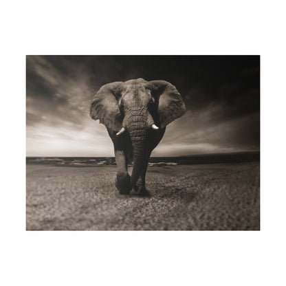 A large elephant walking toward the camera on a sandy beach, in sepia tones with a cloudy sky behind.