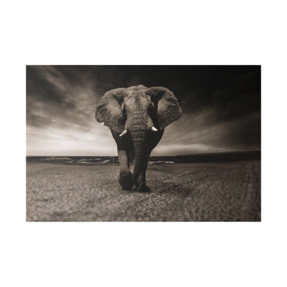 Sepia photograph of an adult elephant walking toward the camera on a sandy beach with the sea in the background.