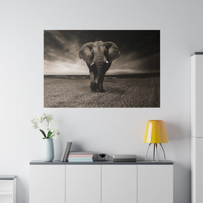 Black-and-white photograph of an elephant strolling toward the camera across a sandy beach.