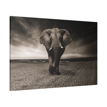 A black-and-white photograph of a solitary elephant walking toward the camera on a sandy beach under a moody sky.