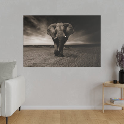 A black-and-white photo of an elephant walking toward the camera on a sandy beach under a cloudy sky.