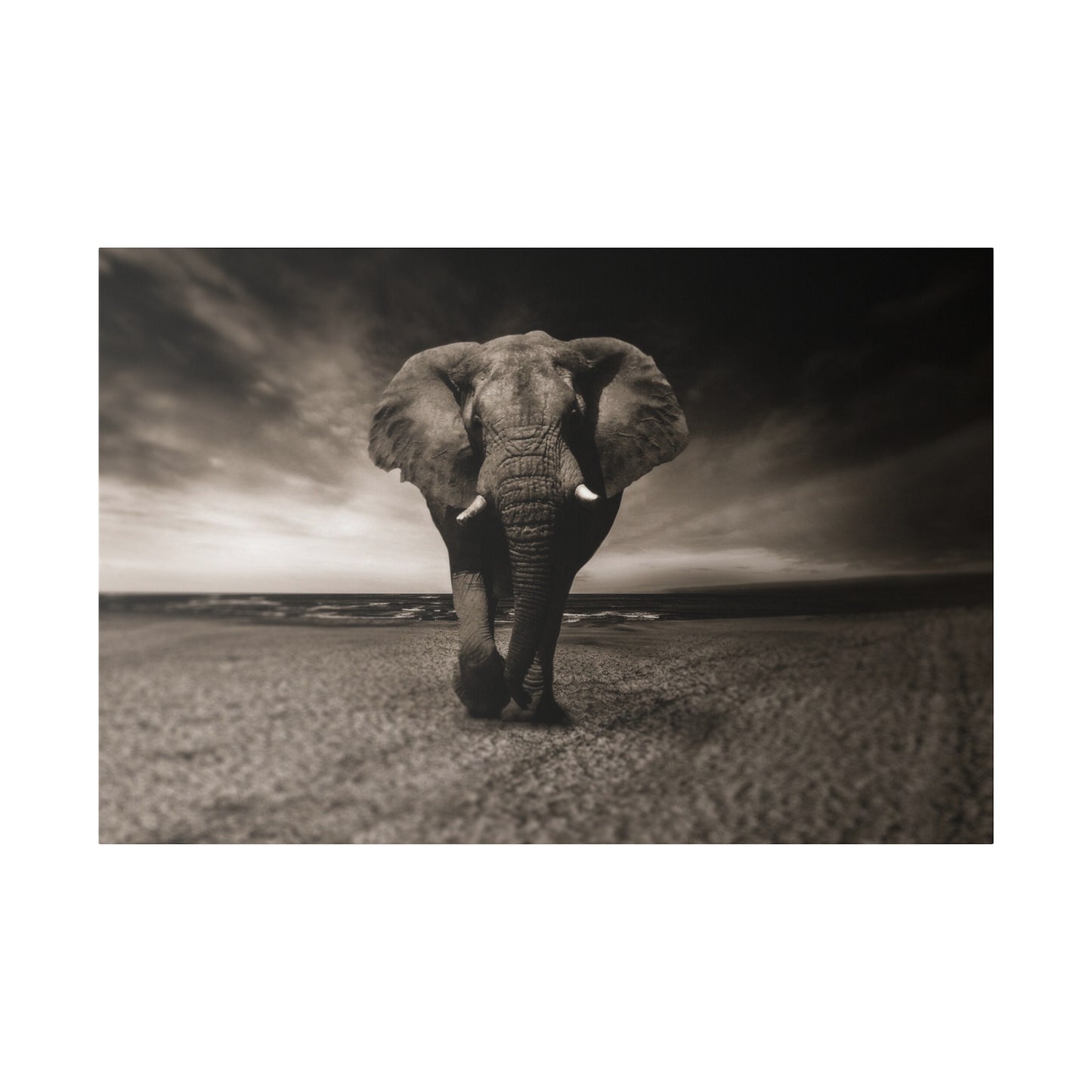 An elephant stands against the sandy horizon, its silhouette framed by the vast expanse of the beach and the dramatic sky above.