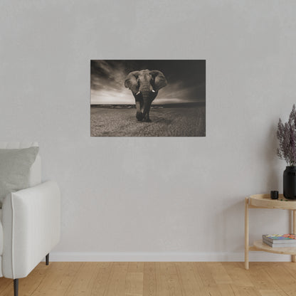 Black-and-white photograph of an elephant walking toward the camera on a flat desert-like surface, mounted on a living room wall.