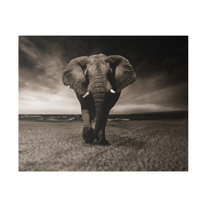 A sepia-toned elephant with tusks walks toward the camera across a sandy beach.