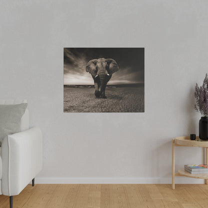 Black-and-white photograph of an elephant walking toward the camera on a barren, sandy landscape.