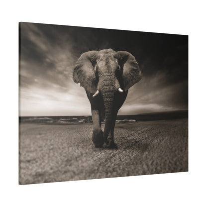 Black-and-white photo of a large elephant walking toward the camera on a sandy beach with the ocean in the background.
