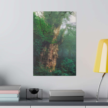 Vertical canvas print of an ancient, moss-covered tree trunk surrounded by dense green forest and mist.