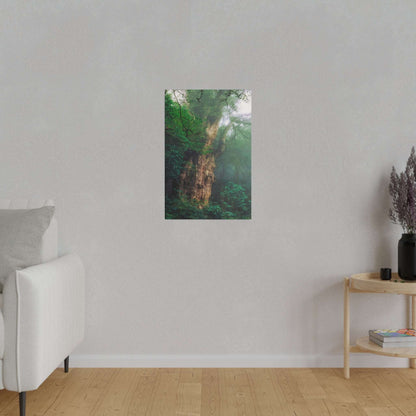 Vertical canvas print of an ancient, moss-covered tree trunk in a dense green forest.