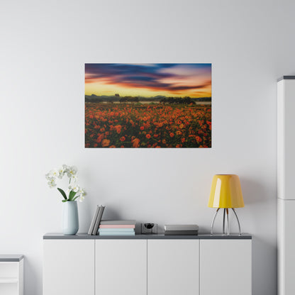 Framed landscape photograph of an orange poppy field at sunset, mounted on a white wall above a gray cabinet.