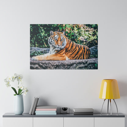 Canvas print of an orange tiger with black stripes lying on a stone ledge against greenery on a white wall.
