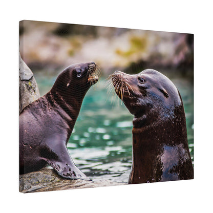 Two sea lions, dark brown and sleek, face each other on a rocky edge beside greenish water.