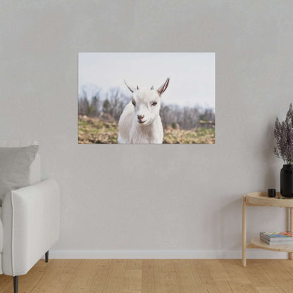 Canvas print of a white goat displayed on a light gray wall in a living room.