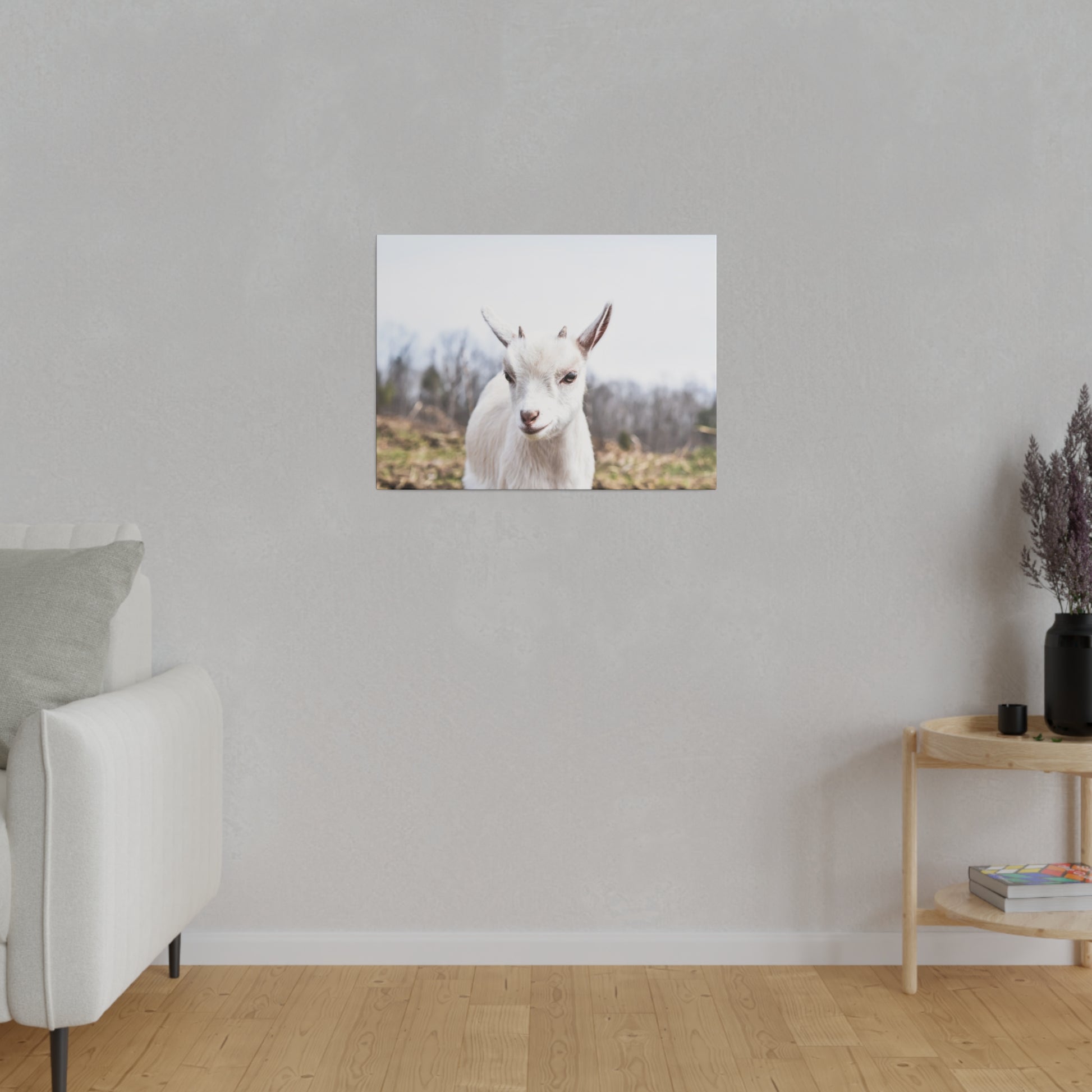 Small canvas print of a white goat outdoors, mounted on a light gray wall above a wooden floor.