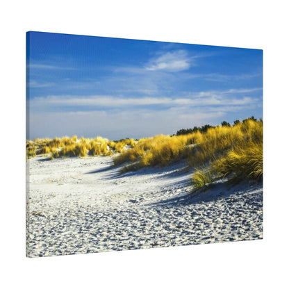 Sunlit beach dunes with tall yellow-tan grasses along a white sandy shore under a blue sky.